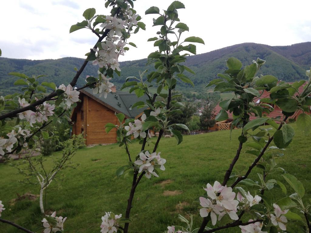 Sadyba Ertash Vyshka Exterior foto